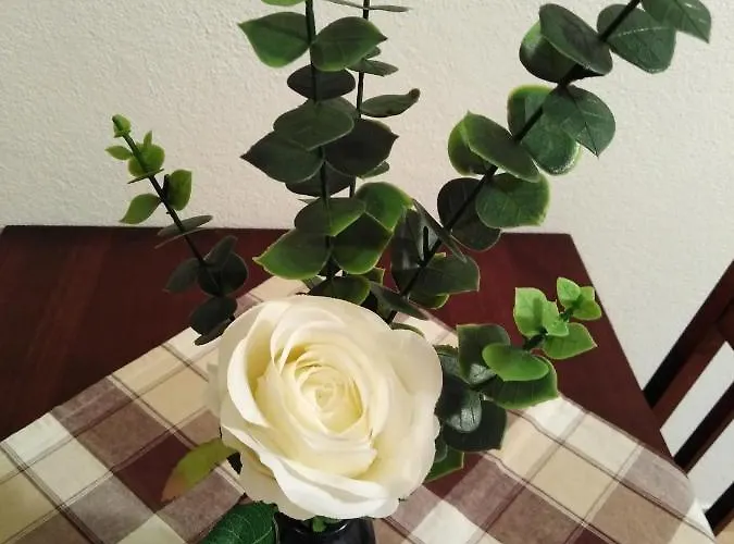アパート Doris
