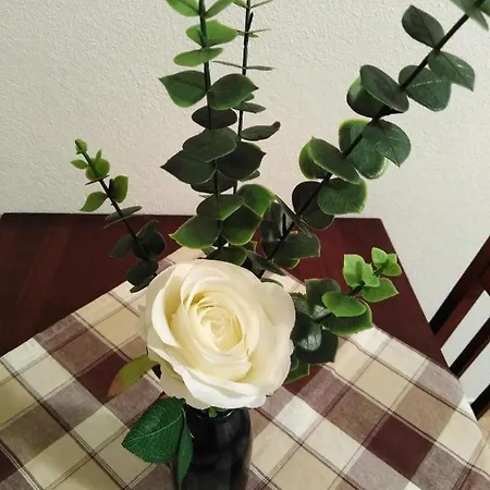 Apartment Doris